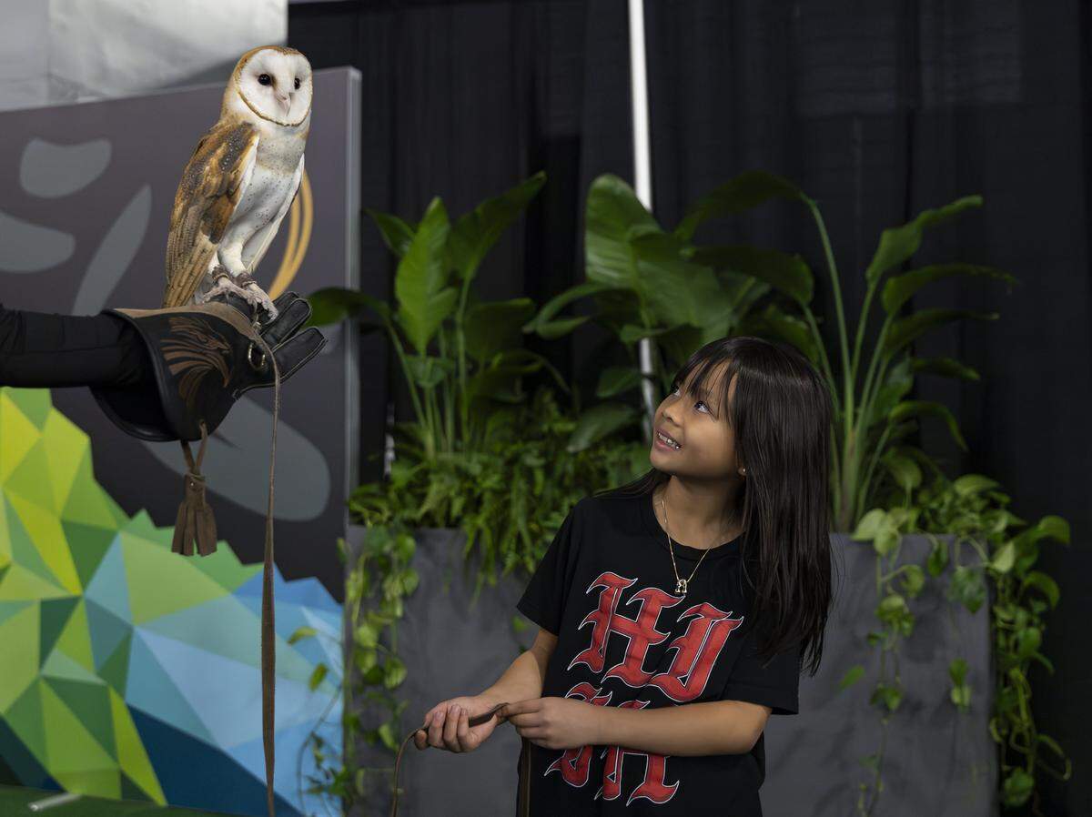 Aleiah Dela Cruz, 7, takes a photo with Tiny, the barn owl, during the Playoff Fan Central at the Miami Beach Convention Center on Friday, Jan. 16, 2025, in Miami Beach, Fla. Fans can visit the event ahead of the College Football Playoff National Championship Game between the Miami Hurricanes and the Indiana Hoosiers and enjoy a variety of family-friendly interactive experiences.