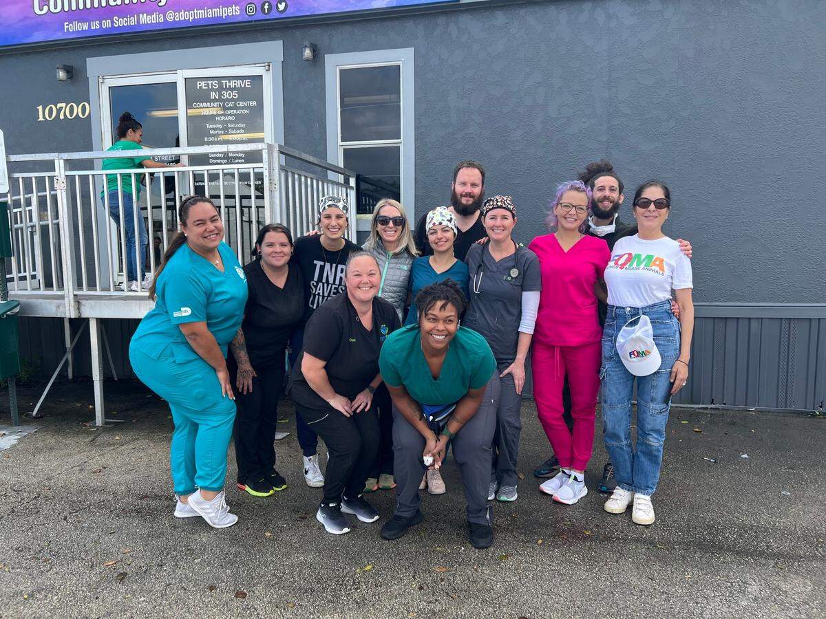 Members of a team with Operation Pit Stop are happy to help bully breed dogs and their families through a free spay and neuter project during December.