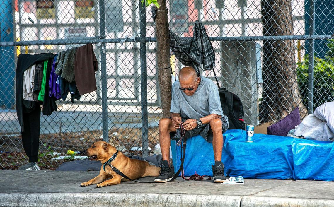 A homeless man with his dog sits under the I-95 underpass right across from a mobile vaccination post as the Miami-Dade County Homeless Trust and the Florida Division of Emergency Management conduct vaccination tours throughout unsheltered homeless hot spots on Friday 21, 2021.