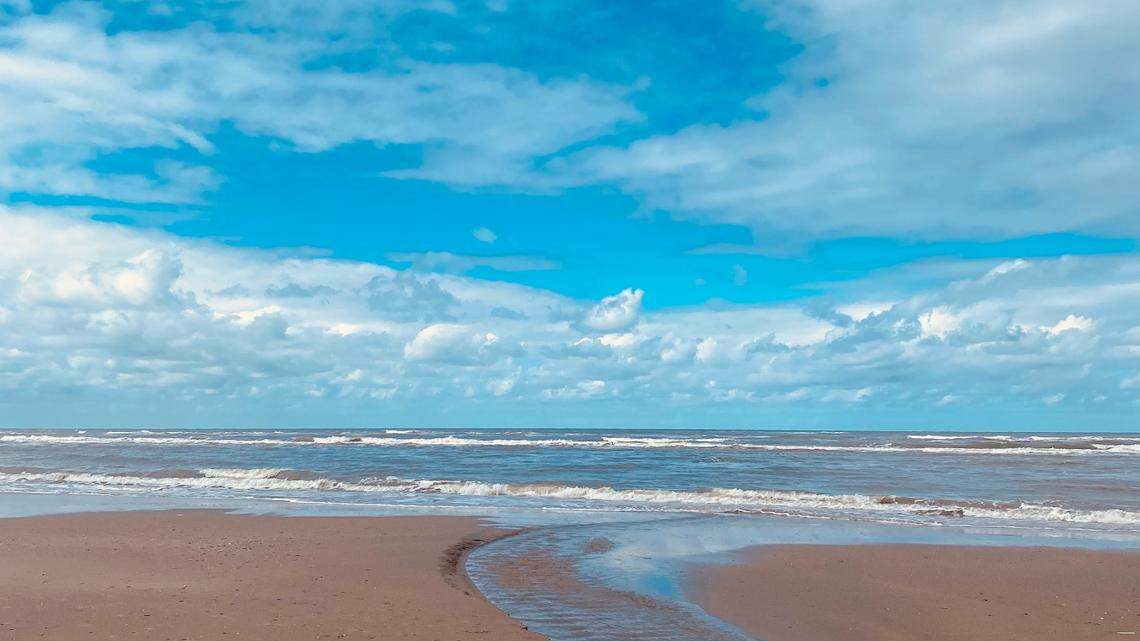 The ‘elusive’ and ‘rare’ white sea creature was swimming in the North Sea, a video shows.