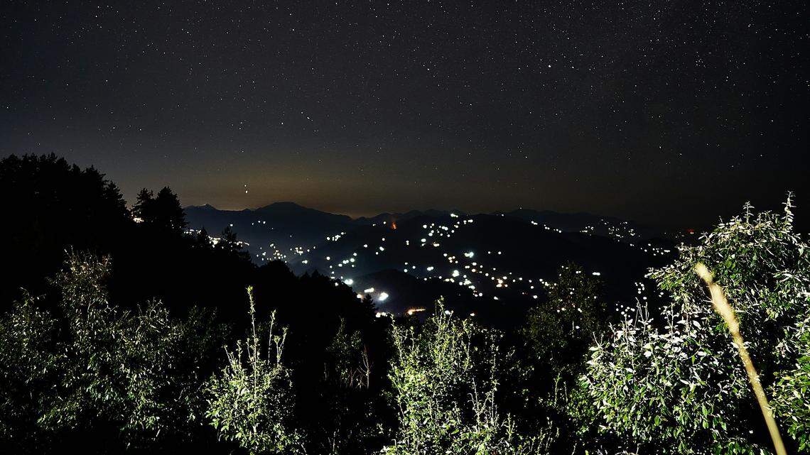 In the forests of Uttarakhand, India, a fierce predator made a rare appearance on trail cameras.