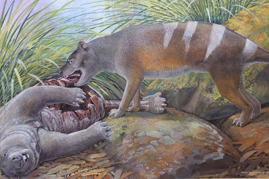 The prehistoric species were identified by their jaws and teeth found at a fossil site in northern Australia.