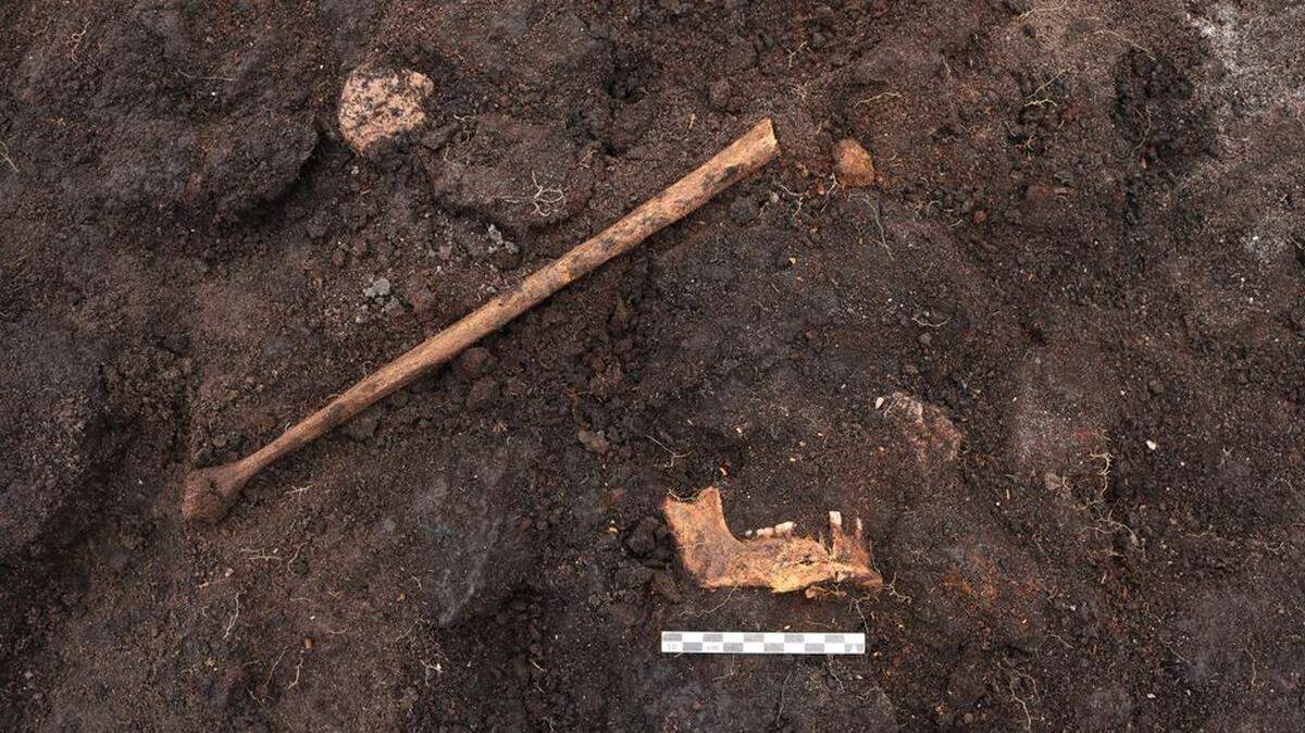 Danish archaeologists unearthed bones that are believed to have come from a ritualistic human sacrifice made thousands of years ago.