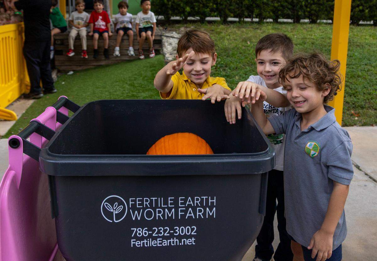 First grade students put a pumpkin into a compost bin.