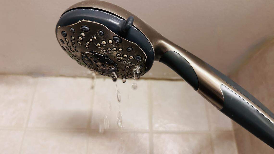 Repairing a leaky shower faucet is one way to conserve water. So is shutting off the water while shampooing and soaping up and limiting showers to five minutes or less.
