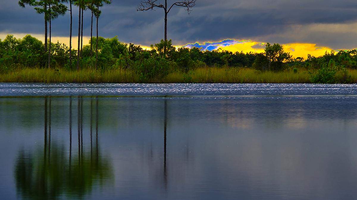 Conservation and nature photographer Phoenix took “Before the Storm” at Everglades National Park. Fourteen of her “Small Worlds” images will be on display at Books & Books in Coral Gables.