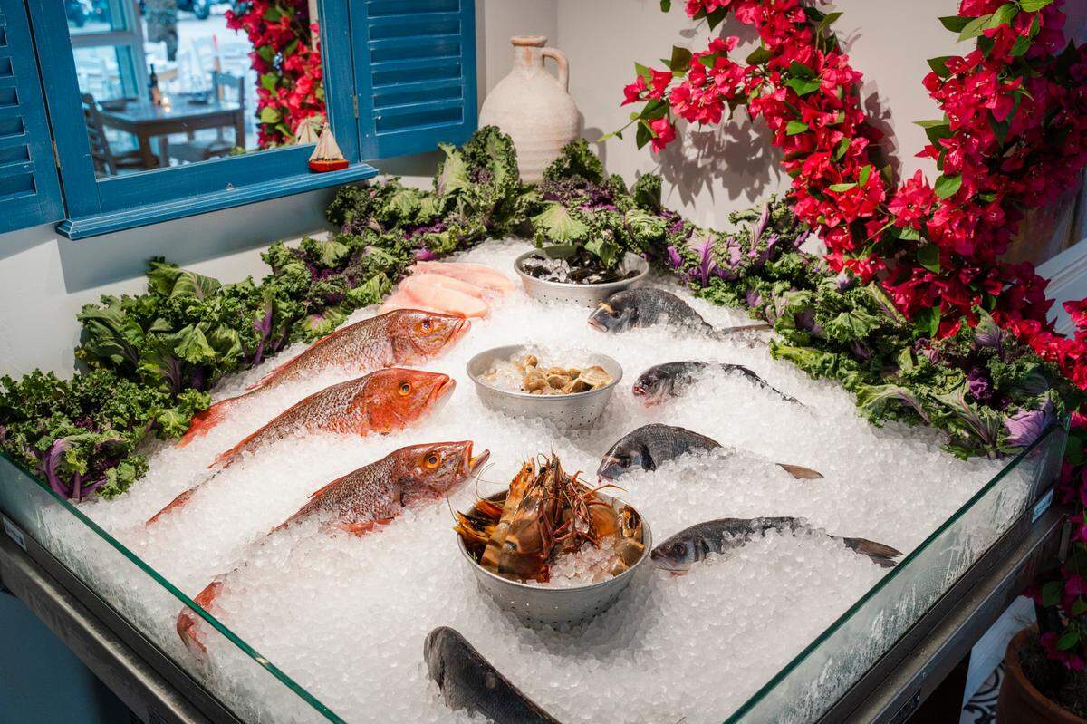 The fish display evokes a Greek village market at the new Calista Greek Seafood Taverna in Miami Beach.