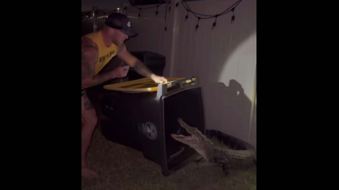 Mike Dragich wasn’t wearing shoes when he took on the alligator outside a Florida home, video shows.