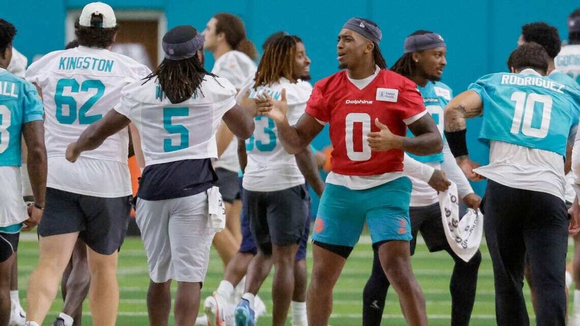 Kelly: Production of Dolphins tailbacks needs to match their potential | Opinion