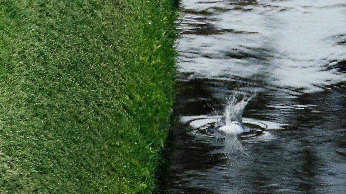 A Florida company faces fines after a driver drowned while retrieving sunken balls at a beach resort’s golf course pond, the Department of Labor says.