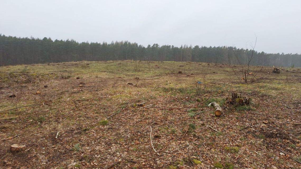 Experts in Poland determined the purpose of a 2,400-year-old settlement decades after it was discovered, according to the Lubuskie Provincial Conservator of Monuments.