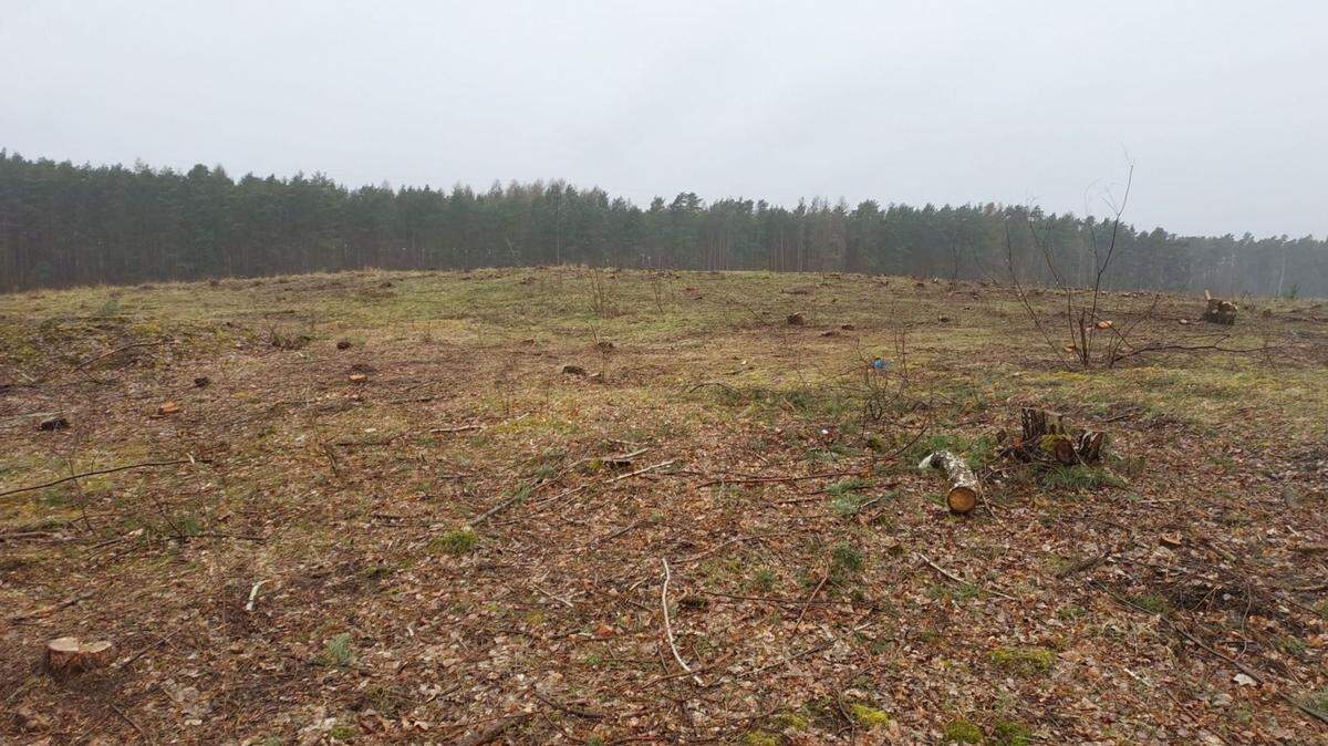 Experts in Poland determined the purpose of a 2,400-year-old settlement decades after it was discovered, according to the Lubuskie Provincial Conservator of Monuments.