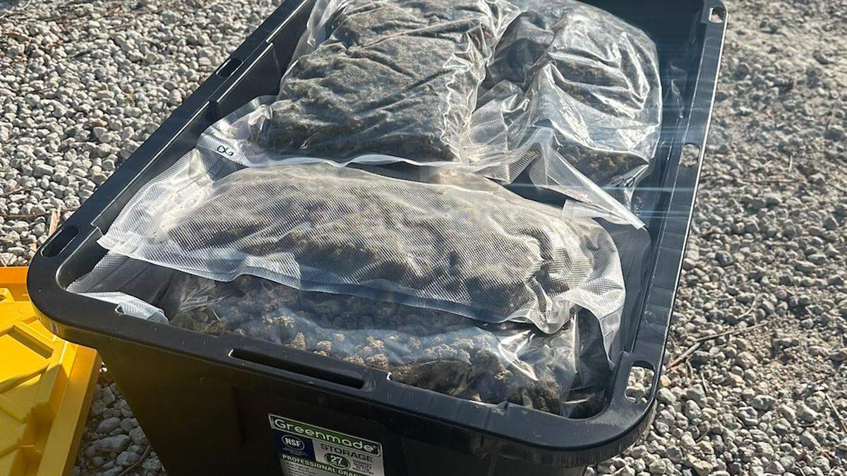 A black plastic bin with 25 vacuum sealed packages of marijuana sits on a Sugarloaf Key lot Monday, Feb. 26, 2024.