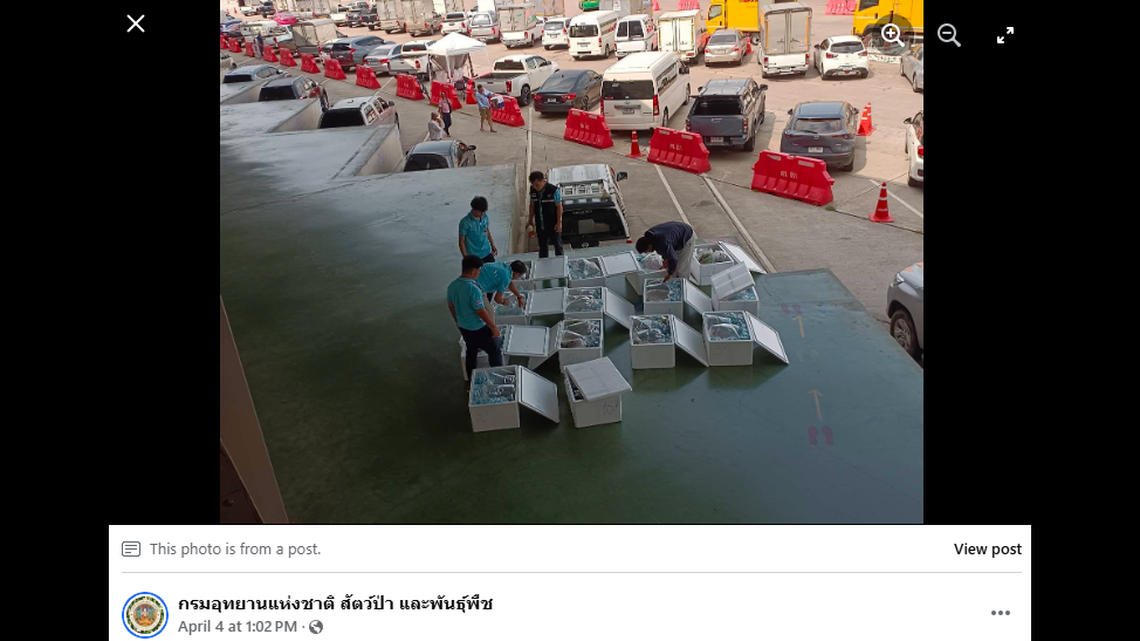 A foam box filled with live animals led to the arrest of a 52-year-old man in an airport in Thailand, officials said.