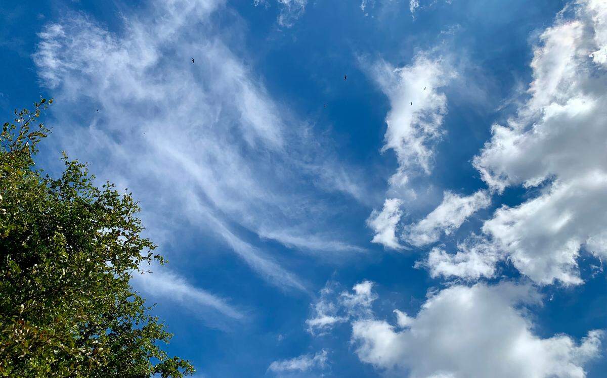 Mostly clear skies and near record heat is on tap for Miami on Wednesday, Dec. 8, 2021. The warm weather is expected to last through the week, according to meteorologists with the National Weather Service in Miami.