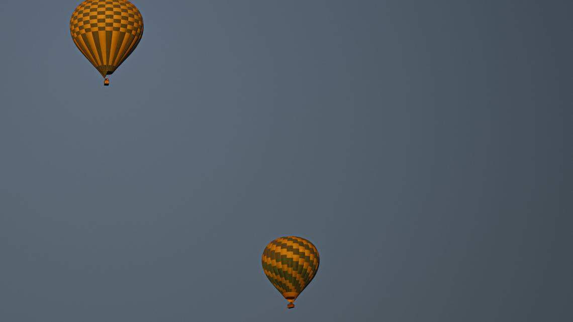 Hot Air Balloon Landed in a Family’s Backyard and Went Viral