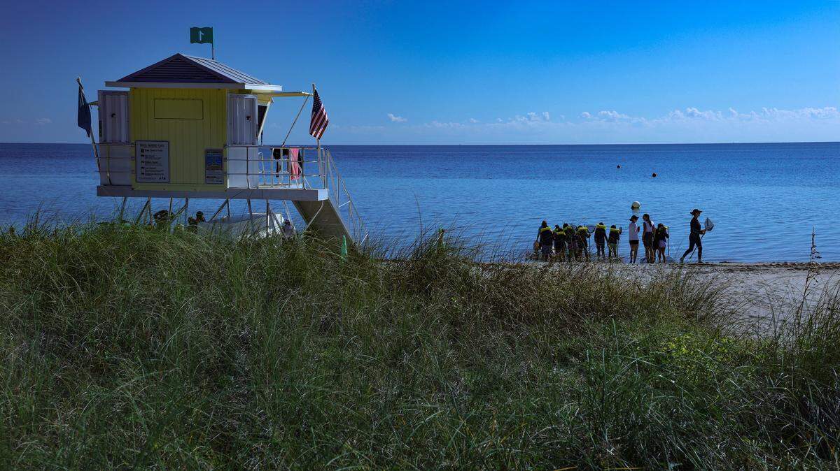 Pinecrest Elementary students head out to the ocean during low tide for the “Sea Grass Adventure” along with naturalists and volunteers to learn about aquatic life living in the sea grass on Monday, November 17, 2025, at Marjory Stoneman Douglas Biscayne Nature Center in Key Biscayne, Florida. 