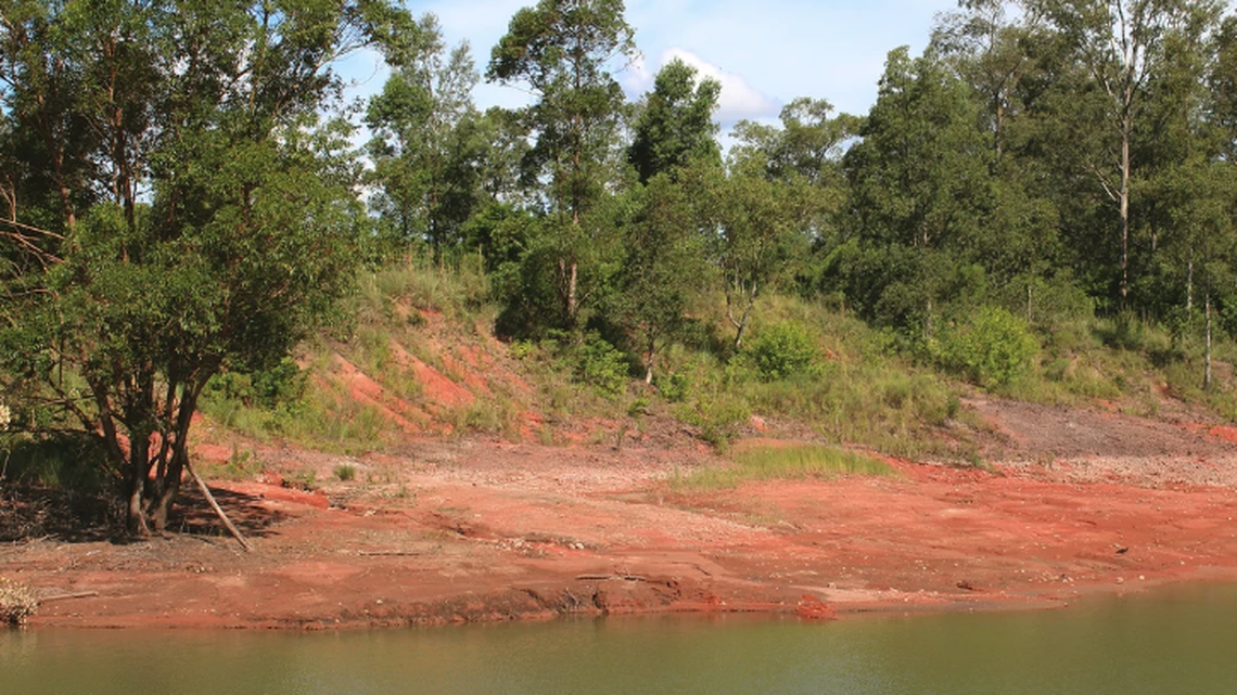 Along a river in southern Brazil, a new species of ancient reptile was discovered in the dirt.