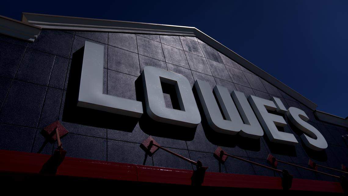 lowe’s home improvement store newborn kittens rescue