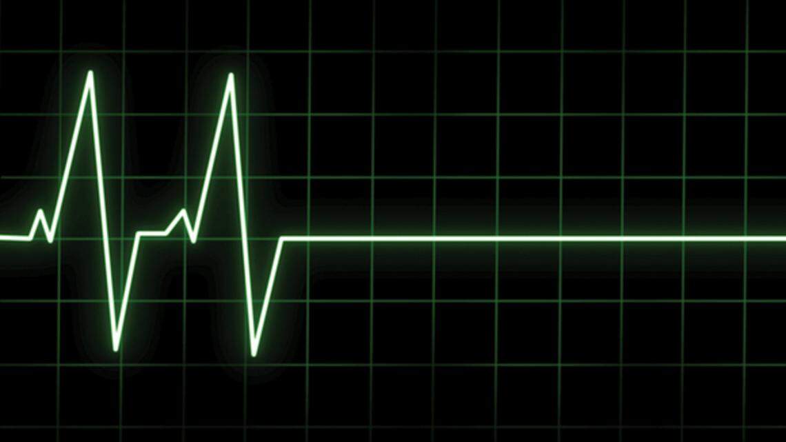 More than 160  professors from Duke, Yale, Stanford, Georgia State and other universities have signed a letter declaring that, “ Our entire democracy is now at risk.” 