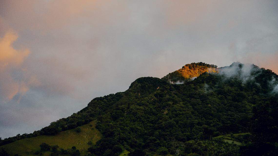 Researchers found a new species of salamander in the Talamanca Mountains in Costa Rica, according to a new study. This image is representative of a mountain in Costa Rica.