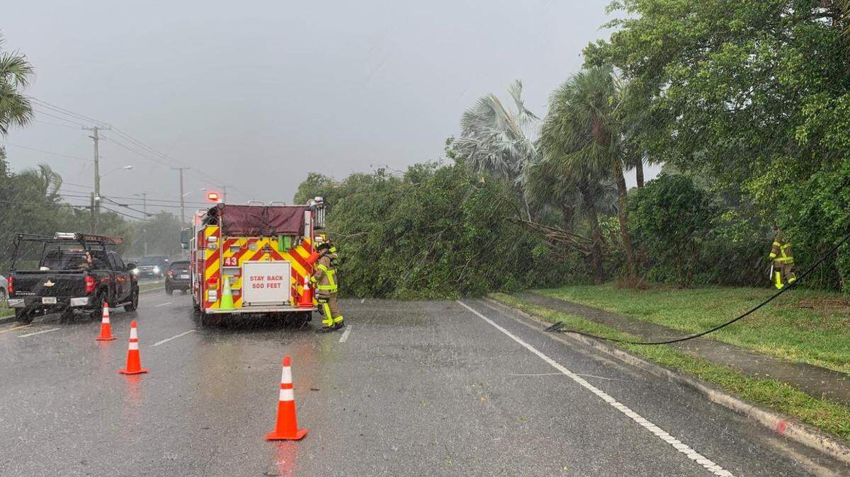A large tree and what appeared to be a power line fell in Palm Beach County as a storm moved through South Florida on May 24, 2023.