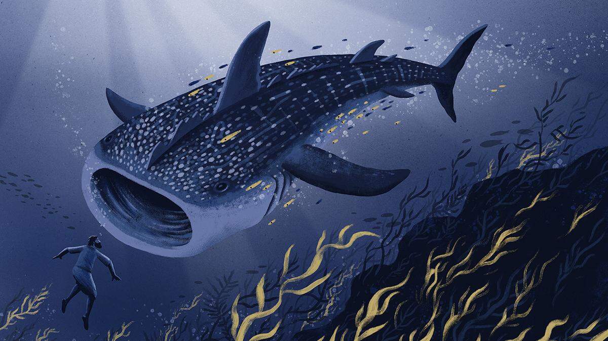The story of Jonah has been the subject of many illiustrated books.