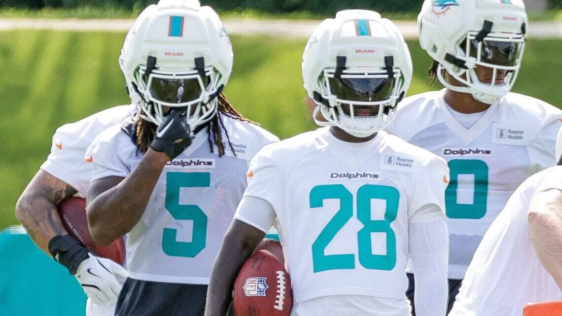 Stock Report (Day 2): Do Dolphins have a ball security issue?