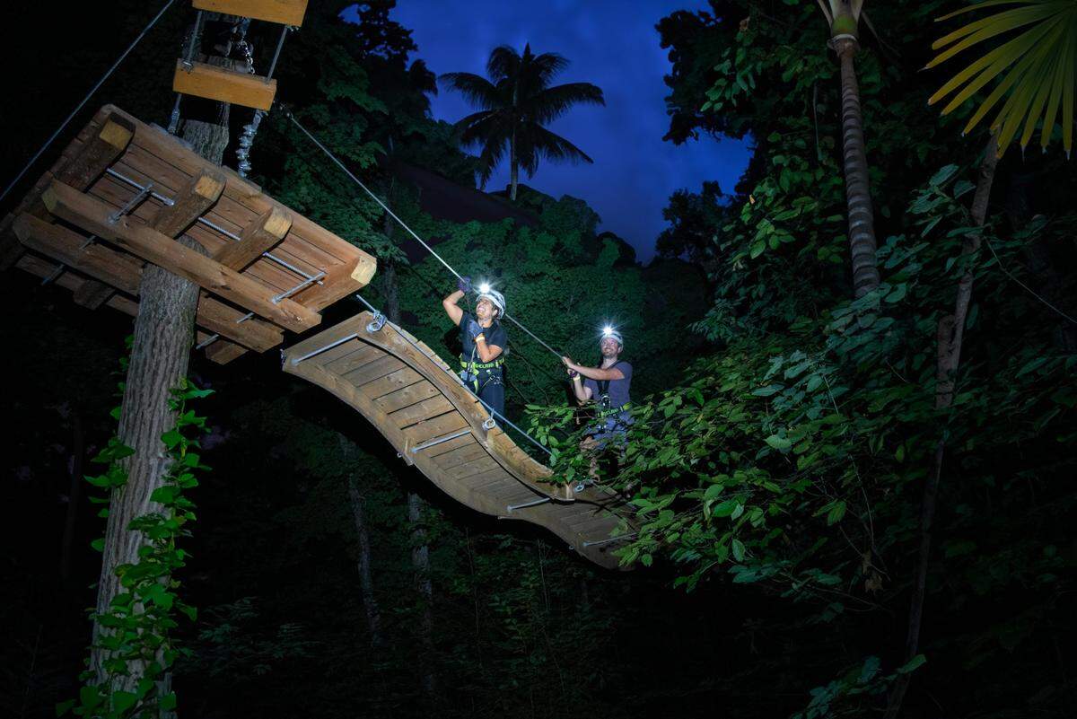 Night trekking experience. 