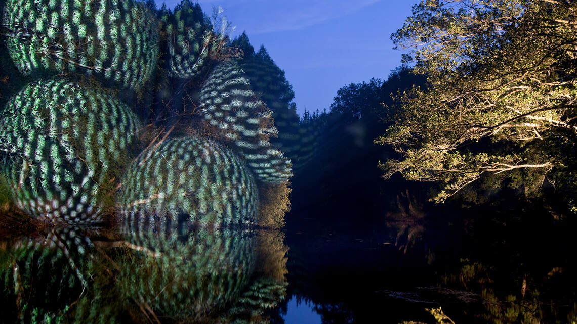 Deering Estate will be magical setting for this light and sound show amid the palms