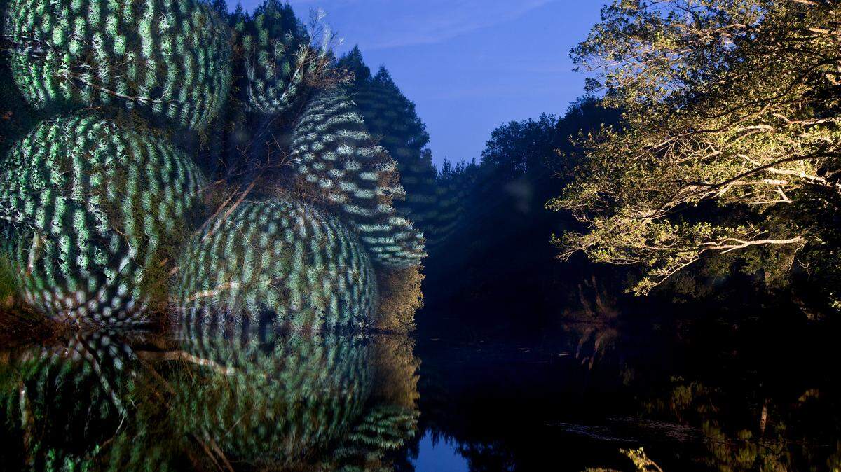 One of Miami’s healing creative events is “A Growing Transparency” at Deering Estate, 7:30-10 p.m., Nov. 20, which includes projected light on mangroves, water and palm trees, along with a soundbath of koshi aria chimes, a handpan drum, monolina and chakapa rattles.