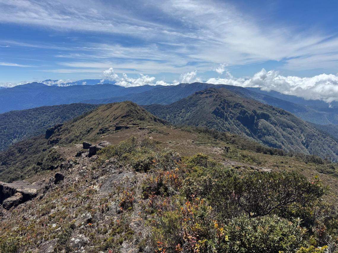 Critters on the peak are poorly studied, but the national park is visited by thousands every year.