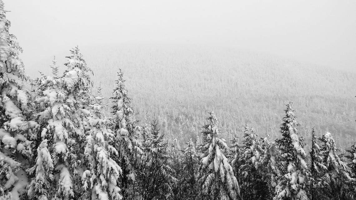 This groundhog day, a clawed creature in Nova Scotia saw its shadow, predicting six more weeks of winter weather, event organizers said.