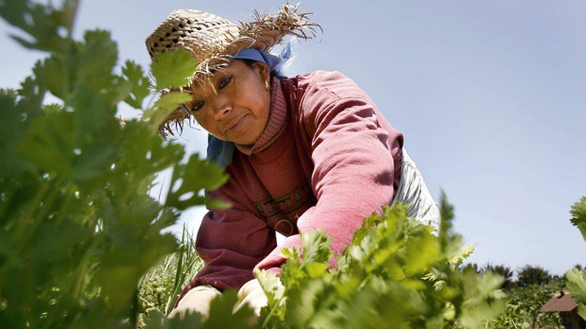 The recent reauthorization of the Violence Against Women Act offers enhanced protections that can help women farmworkers.