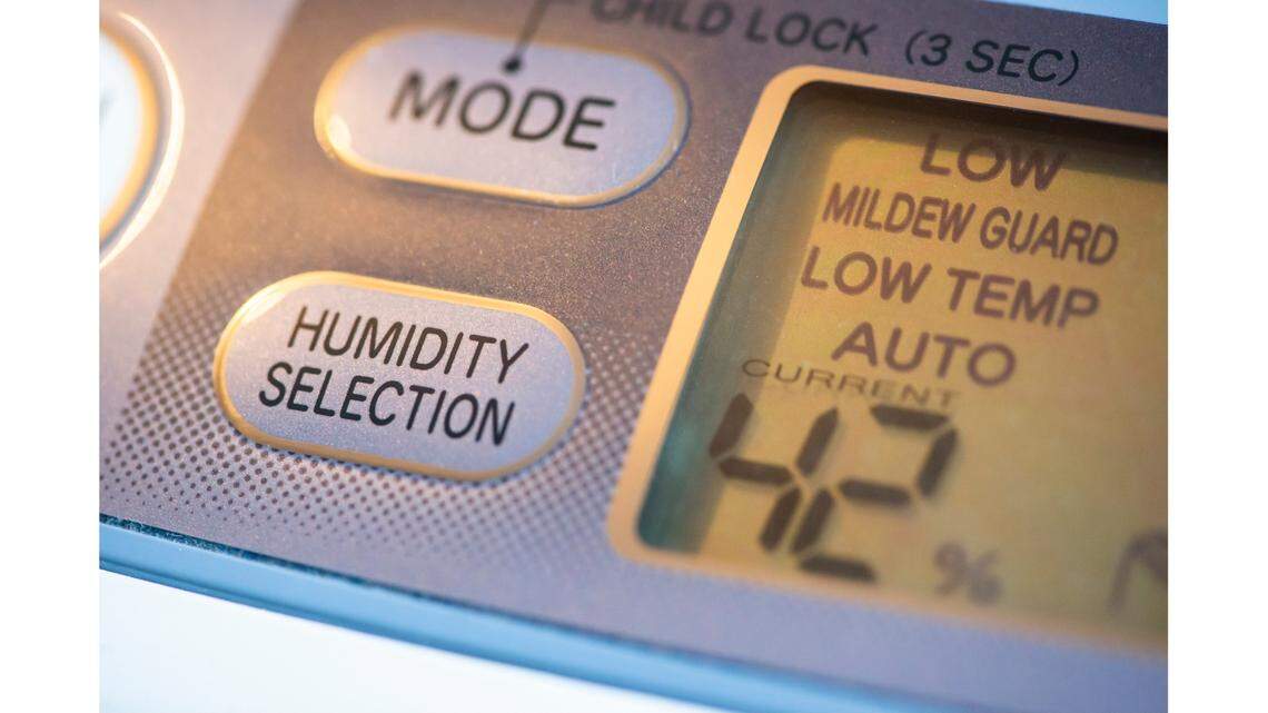 Make your home less damp with the best dehumidifiers on Amazon