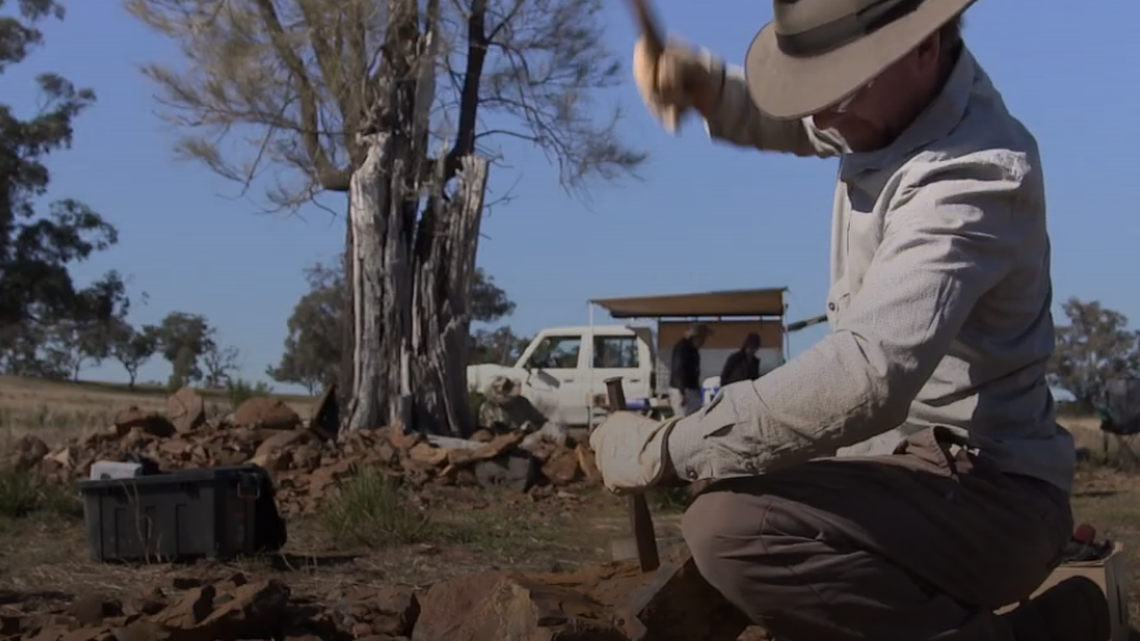 A new species of prehistoric fish was found in iron-rich stone in southeastern Australia.