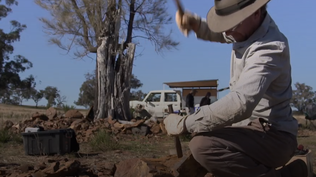 A new species of prehistoric fish was found in iron-rich stone in southeastern Australia.