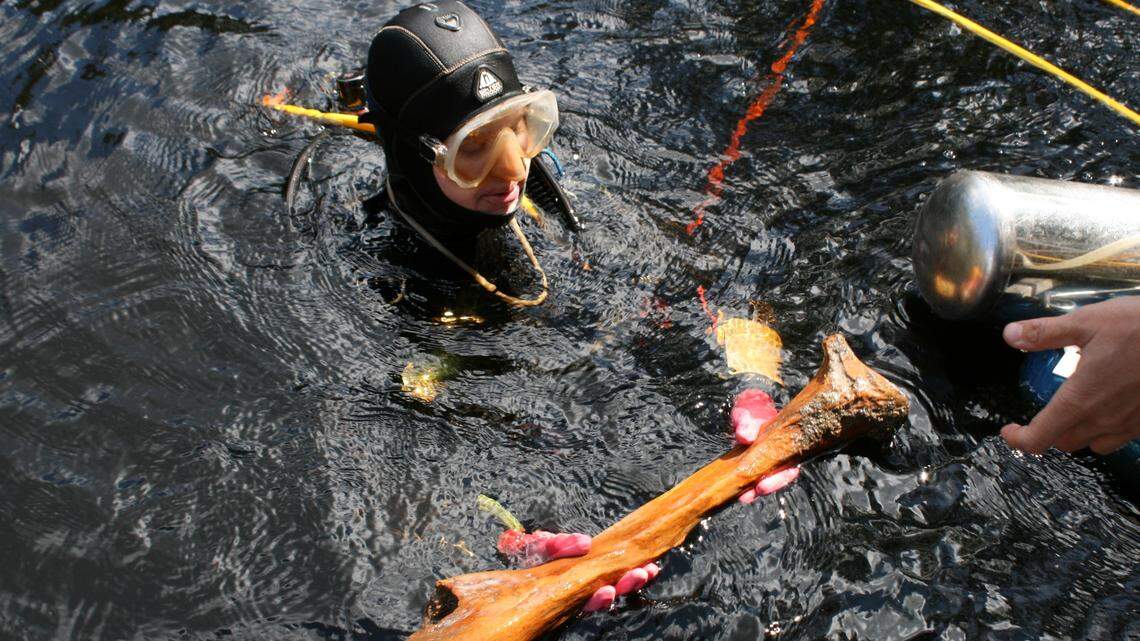 Archaeologists dive into Florida’s past and find lessons on adapting to future sea rise