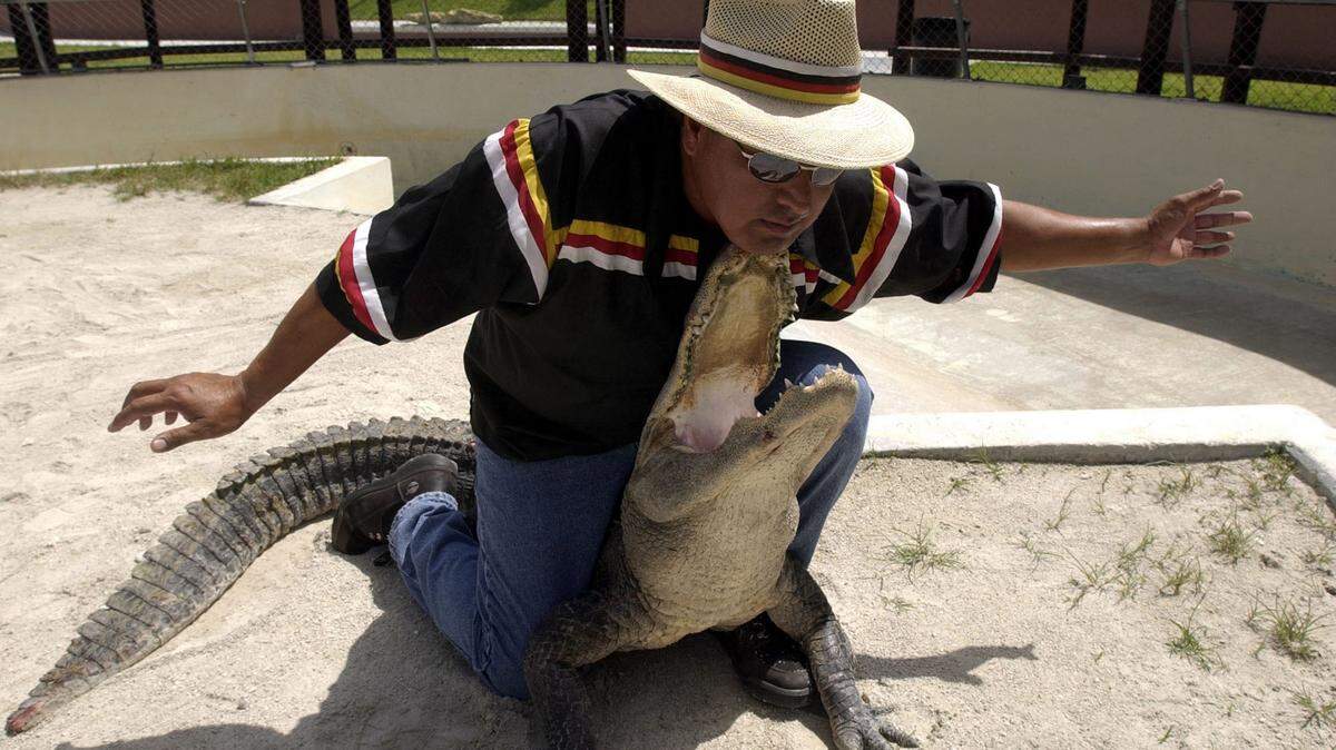 An alligator wrestler at the Miccosukee Indian Village, Aug. 5, 2003.