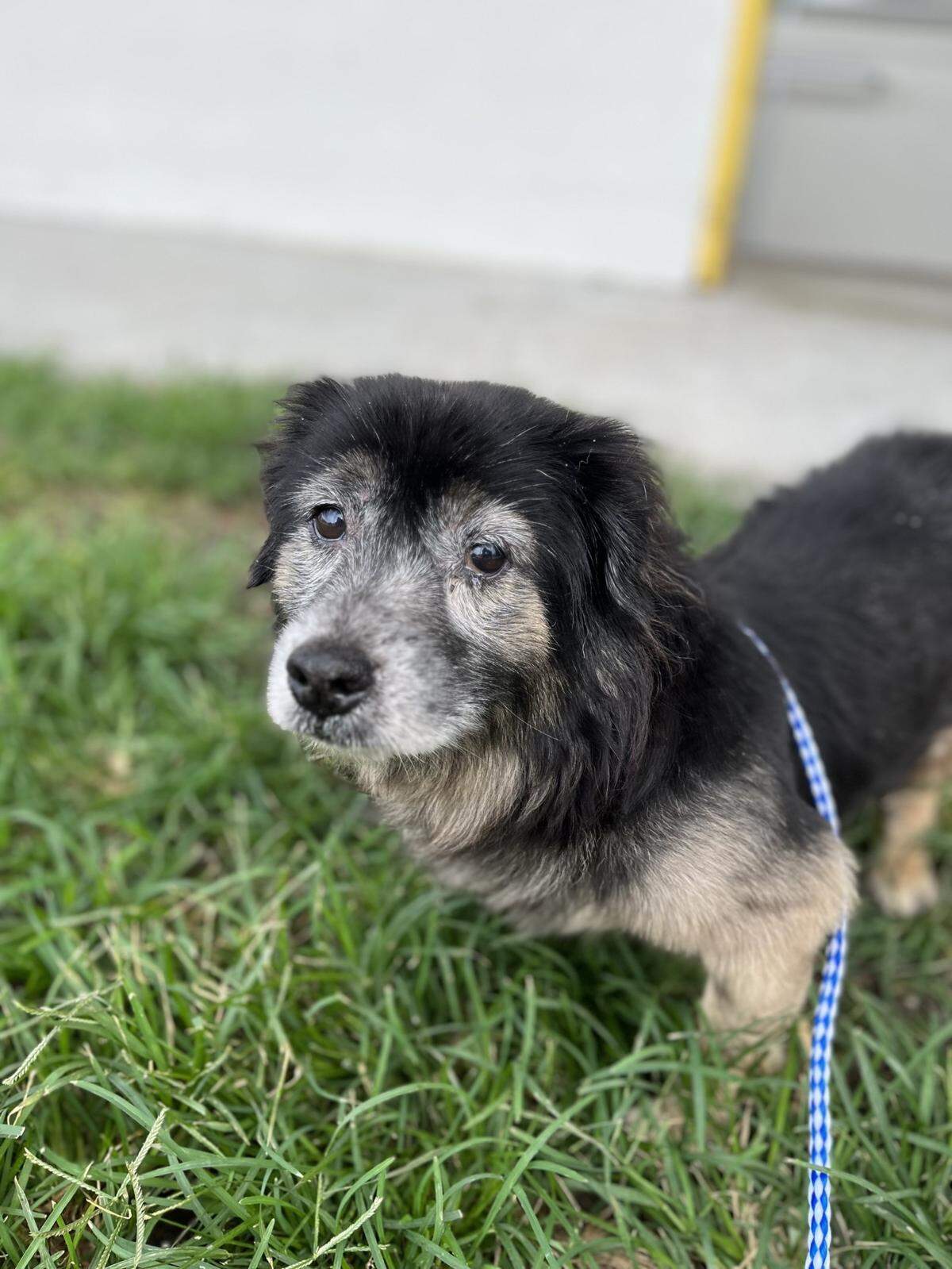 (Don’t forget Larry , A2470488!)
