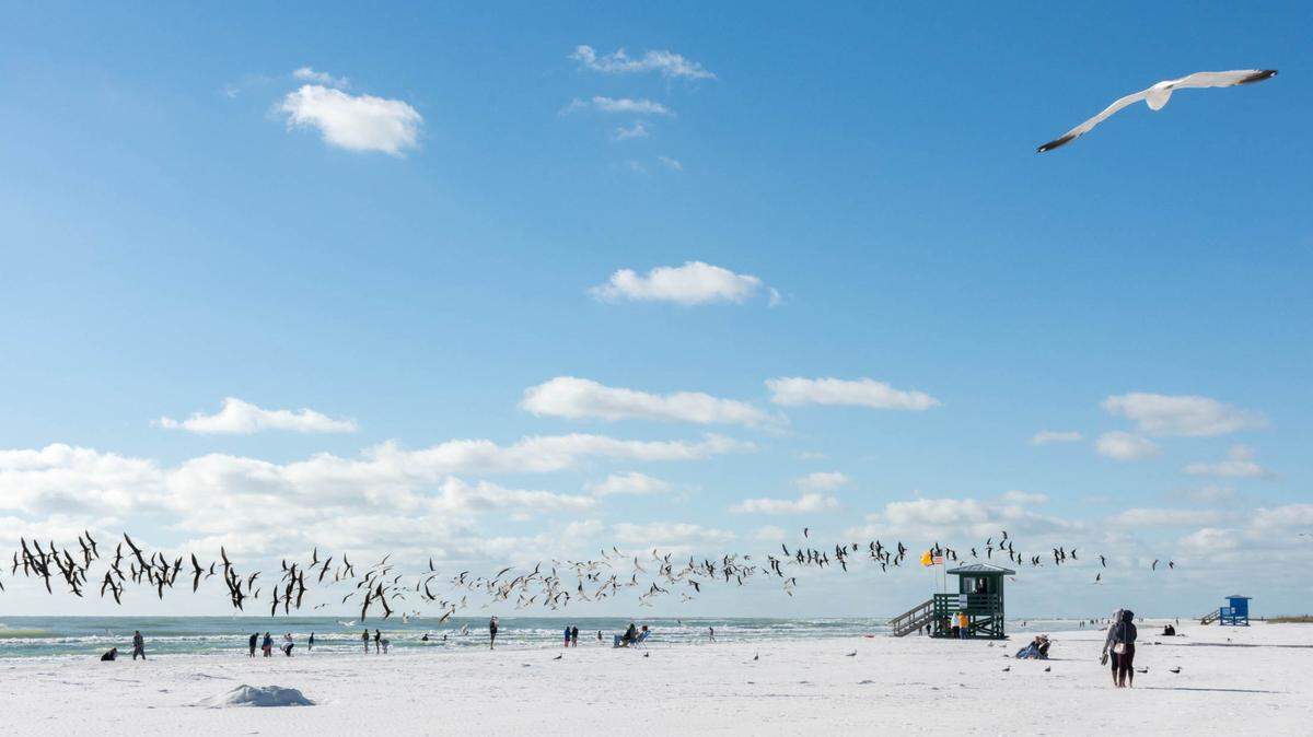 The Internet — or Google, at least — rates Siesta Key Beach as the most popular beach in Florida.