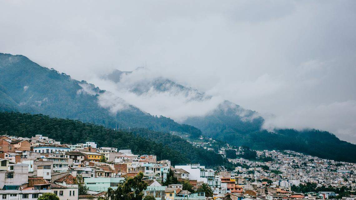 In the mountains surrounding Quito, Ecuador, a new species remained hidden until a photo was posted online.