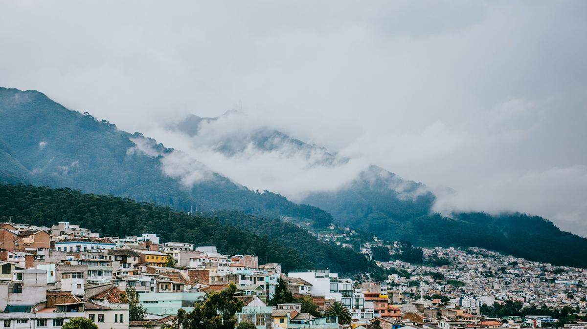 In the mountains surrounding Quito, Ecuador, a new species remained hidden until a photo was posted online.
