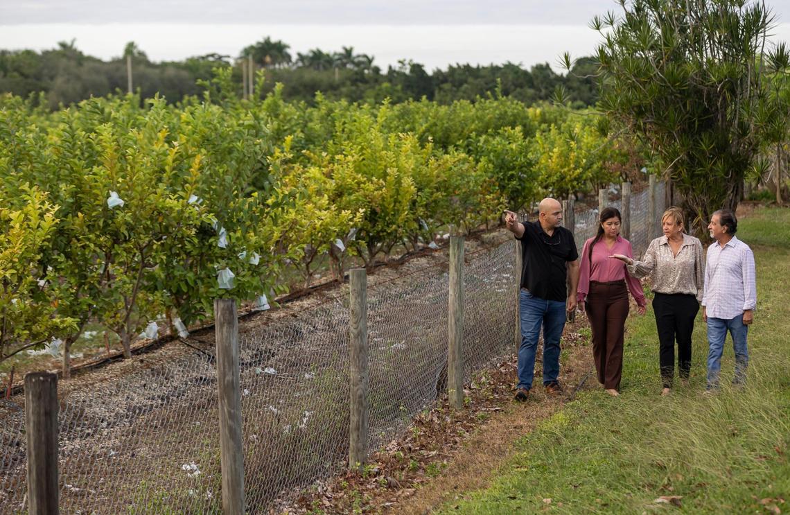Neighbors Karel Alvarez, Margarita Valencia, Indiana Gonzalez and Matthew Rendini walk in front of a farm that’s the site of a proposed Muslim cemetery. Residents and homeowners are concerned about its proximity to their homes and its environmental impacts.