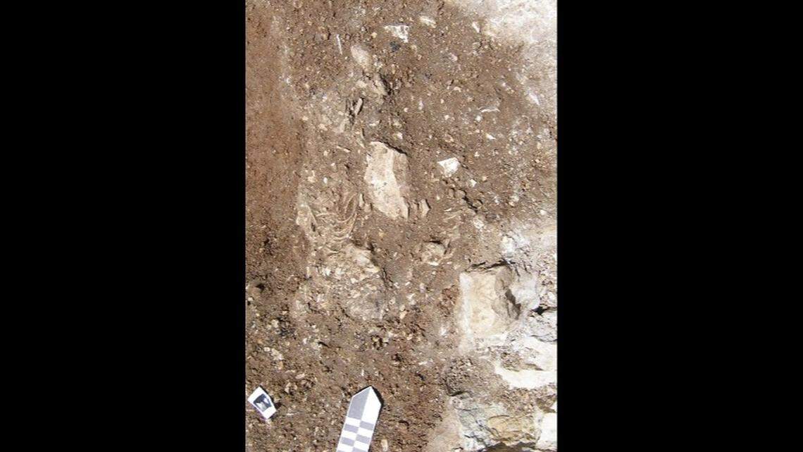 The twins’ grave was partially damaged during construction for a parking lot.