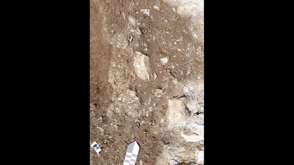 The twins’ grave was partially damaged during construction for a parking lot.