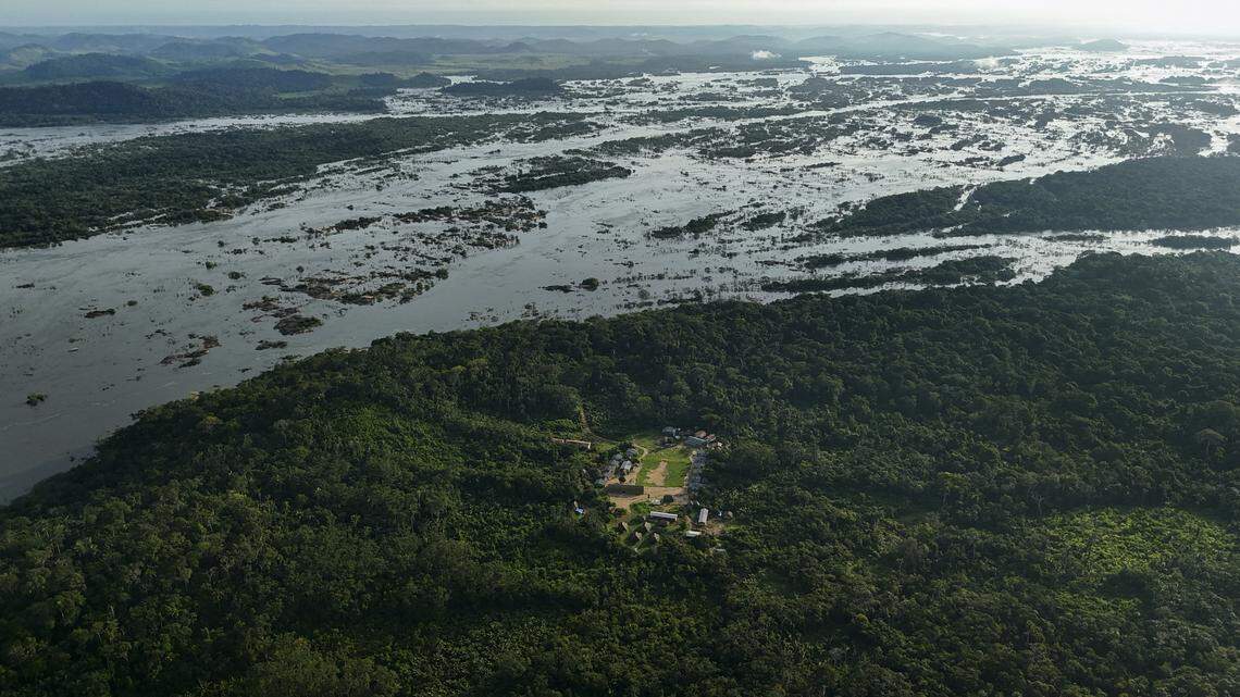 amazon rainforest aerial