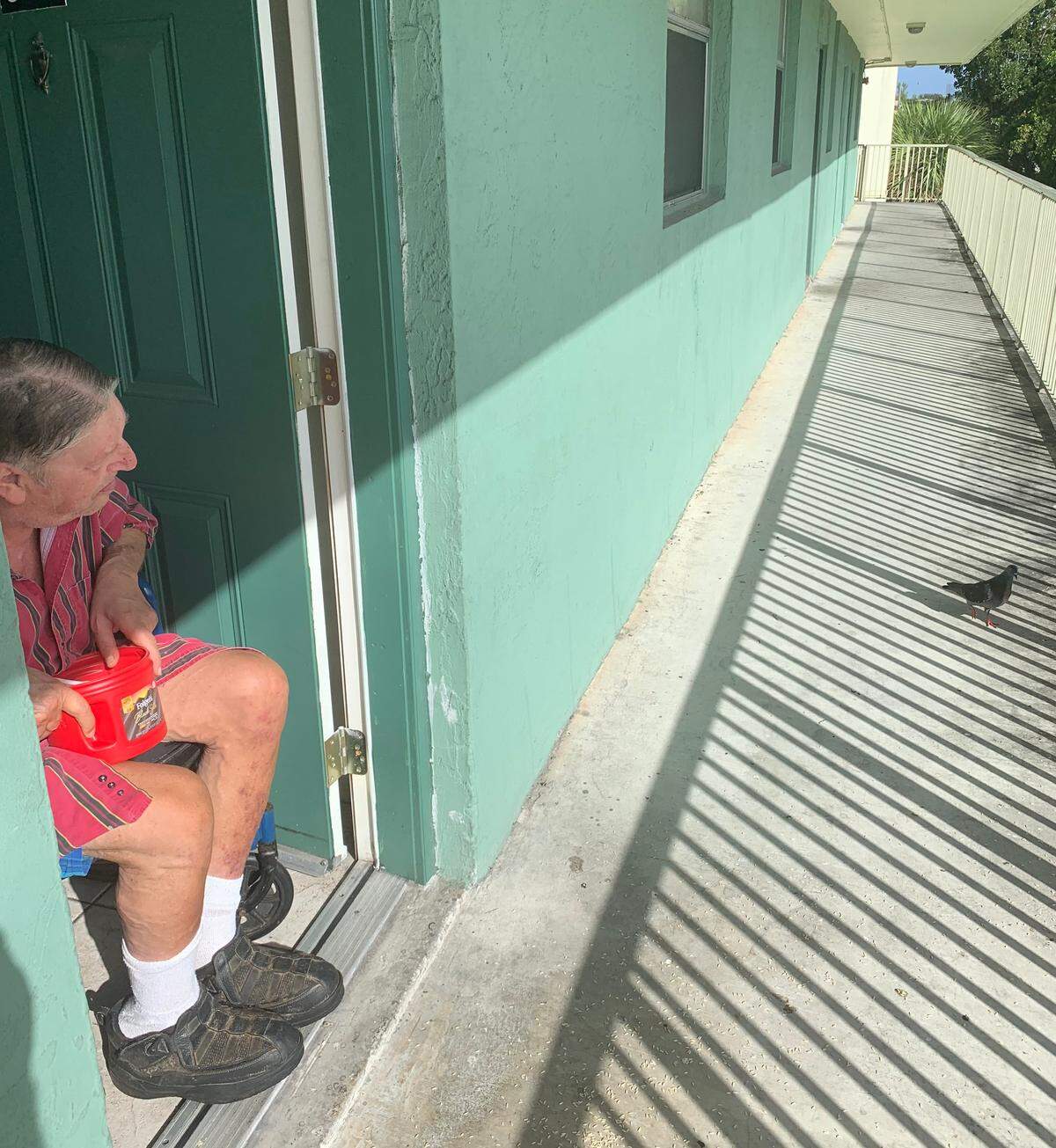 Ronald Lupoff feeds pigeons outside his apartment.