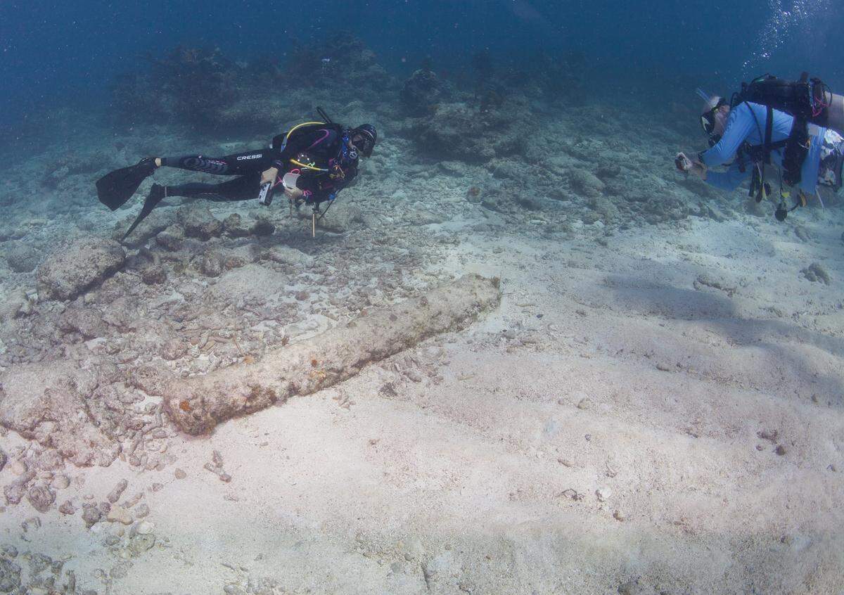 Sailfish Scuba owner Jennifer Kerr swims past a newly-found cannon on Elbow Reef near Key Largo in Florida Keys National Marine Sanctuary.