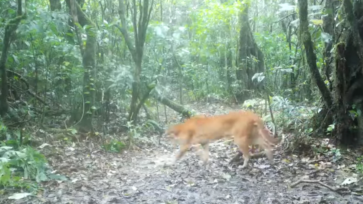 Khao Luang National Park/Facebook